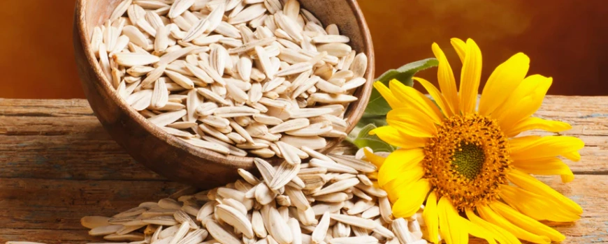 sunflower lecithin supplier