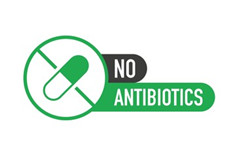 alternative antibiotics in feed