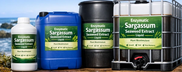 Enzymatic Sargassum Seaweed Extract