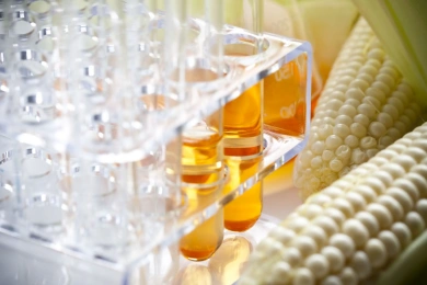 corn biochemicals